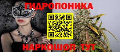 a pvp Вязьма