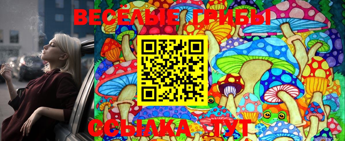 Псилоцибиновые грибы GOLDEN TEACHER Бор